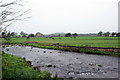 SD9253 : Cows grazing beside the River Aire by Bill Harrison