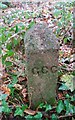 Boundary Stone