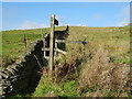 Footpath off Higher Turf Lane