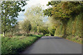 Road from Shapwick towards Blandford Forum