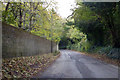 Road towards Blandford Forum