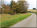 Minor road beside Whitefield Wood