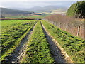 Field edge farm track descending to a minor road near to Brawlands