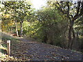 Path marker in Backhouse Park, Sunderland