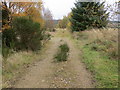 Farm track into Oldtown Belt