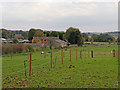 Pasture near Iverley in Staffordshire