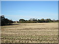 Over  stubble  field  to  River  Derwent