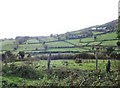 Stone walled rectangular fields on the Carrickinaffrin spur