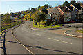 Centenary Way and Teal Close, The Willows