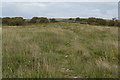 R2896 : Footpath on Limestone plateau by N Chadwick