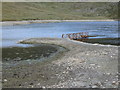 SN7987 : Old dam, Llyn Llygad Rheidol by Rudi Winter