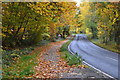 Autumn on Rownhams Lane