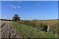 Footpath east of Cuckoo Farm