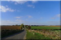 Exton Road heading towards Hot Hollow Farm