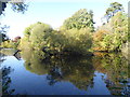 Autumn reflections at Manor Park Country Park