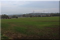 Countryside between Thormanby and Husthwaite