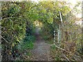 Footpath near Beauvale