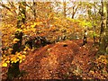 Footpath Finnich Glen