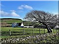 Knockendon Farm