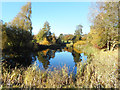 Pond in Sefton Park