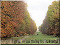 Autumn colours along the tree-lined avenue  towards Ashridge House