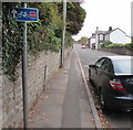 Cycle Route 423 direction sign, Castle Parade, Usk