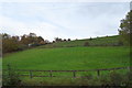 Hillside grazing near the Dysarts Arms 