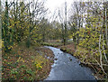 Bend in the River Tame, Uppermill