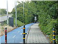 Horse riding on the cycle track