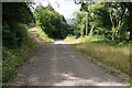 Quarry tracks above Tintern Quarry