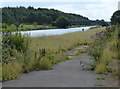 Aire and Calder Navigation at Woodlesford