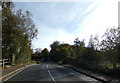 Blue Bridge on the A1124 Colchester Road