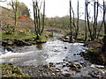 Rhydio Nant Henog / Fording Nant Henog