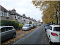 Green  Lane  North  an  autumnal  scene