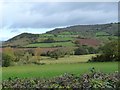 Farmland in the valley of Bach Brook