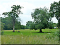 Field behind Prospect Farm