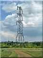 Pylon in Pages Wood