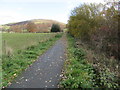 Footpath alongside the Corwen Cutting