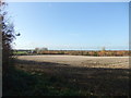 Fields near Whinneymoor Farm