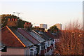 Rooftops of New Malden