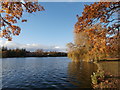 The Lake, Roath Park, Cardiff