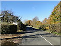 TM0092 : Hargham Road, North End, Snetterton by Adrian S Pye