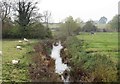 Bedale Beck from Leeming Bridge