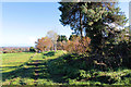 Public footpath north of  Shepton Beauchamp