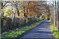 Green Lane, south of Crampmoor