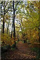 Path Through Horsell Moor