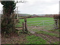 Llwybr ger Cwm / A path near Cwm