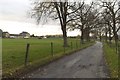 Bridleway near Home Farm