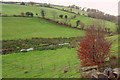 Valley near East Allington