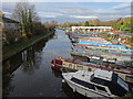 White Bear Marina, Adlington